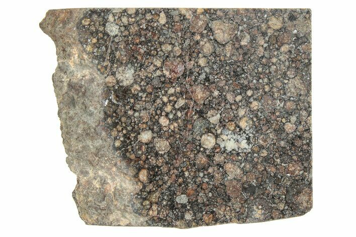 LL Chondrite Meteorite ( g) Slice - NWA #291390